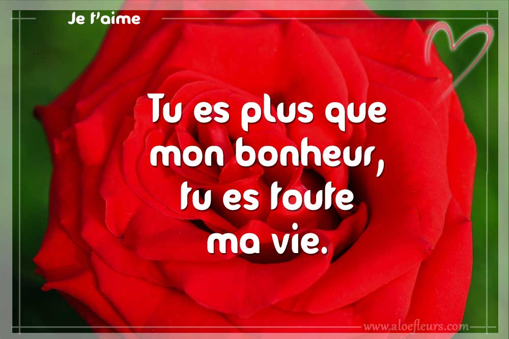 Message D Amour Pour La Saint Valentin Aloe Fleurs